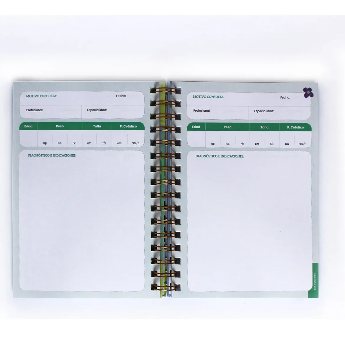 CUADERNO DE SALUD OSO MUNDO DE PAPEL - Imagen 4