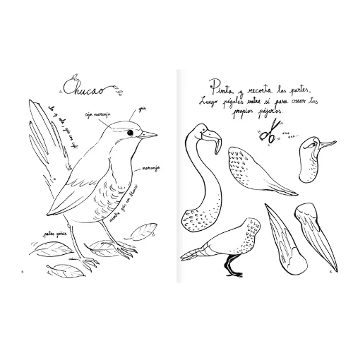 PINTAPÁJARO - AMANUTA - Imagen 4