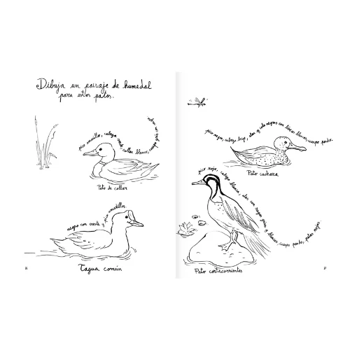 PINTAPÁJARO - AMANUTA - Imagen 6