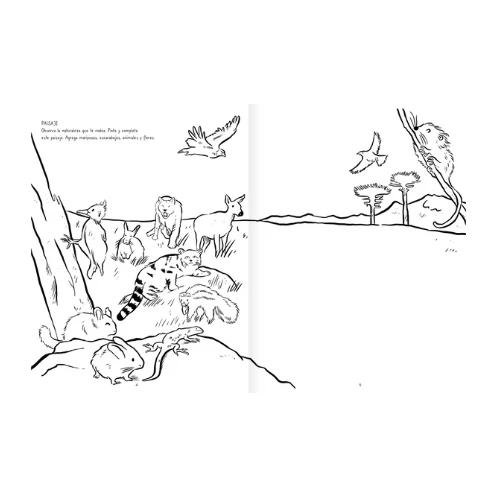 PINTA Y CREA - AMANUTA - Imagen 3