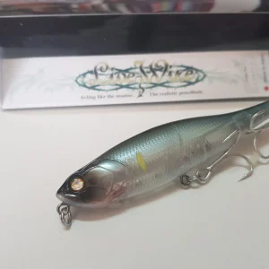 Whiplash Factory Live Wire