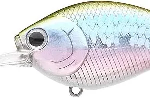 Lucky Craft Flat CB DR