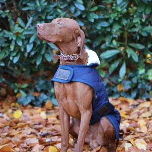 Abrigo impermeable para perros Kentucky Dogwear Dark Blue DSH