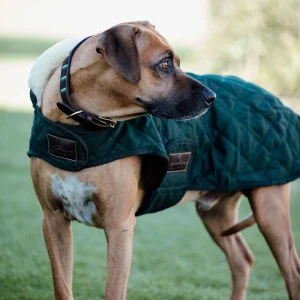 Abrigo impermeable para perros Kentucky Dogwear Dark Green L
