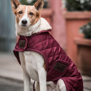 Abrigo impermeable para perros Kentucky Dogwear Dark Red L