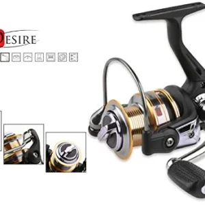 Mikado Desire 2009 FD