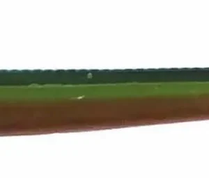 BigBiteBaits 6» Shaking Squirrel