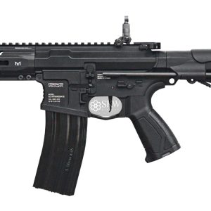 Aeg 556 Combo G&G (Egc-Arp-556-Bnb-Ncm)