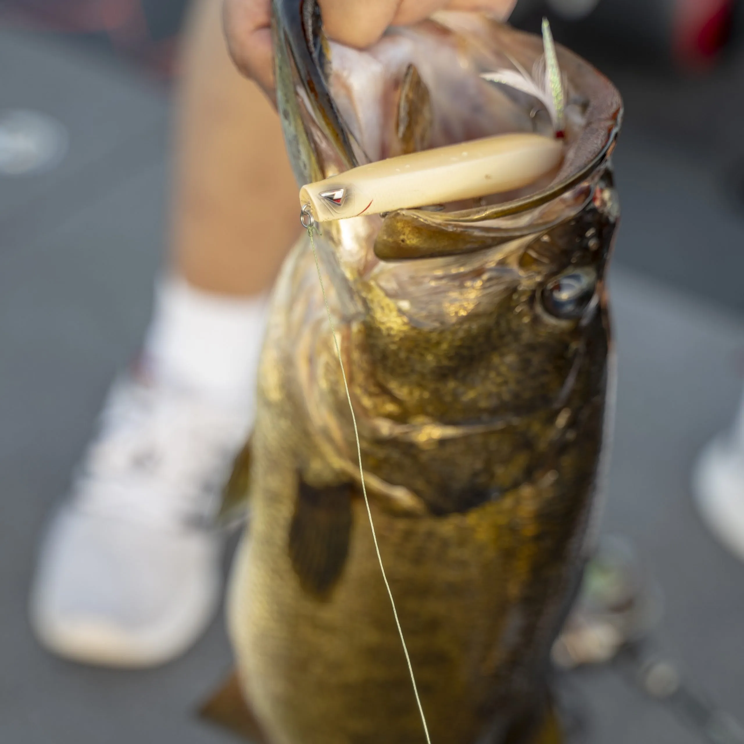 TEAM ARK Topwater Blower 115 - Imagen 3