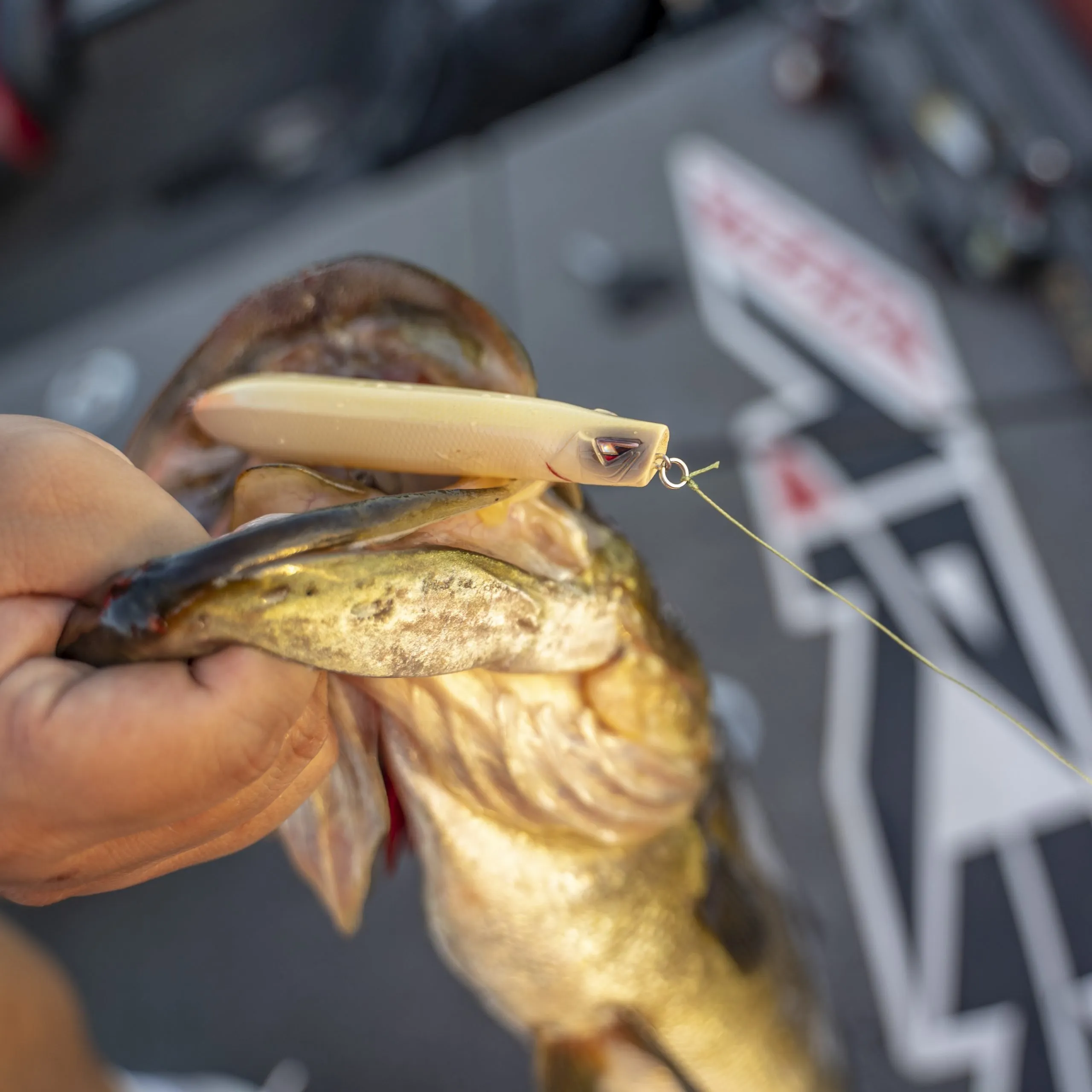 TEAM ARK Topwater Blower 115 - Imagen 4